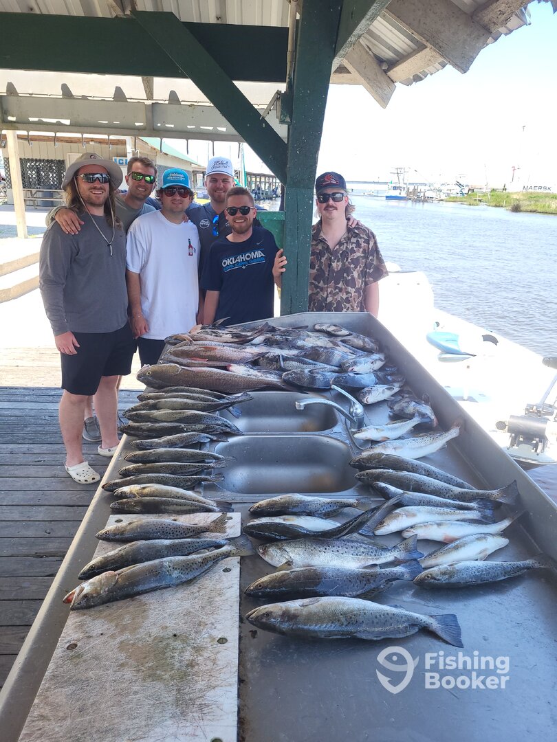 Sulphur Report Photo 0