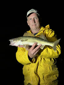 Buffalo Report Photo 2