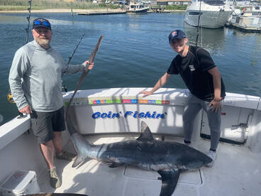 New York City Report Photo 2