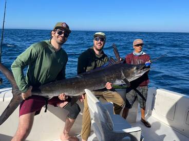 Cabo San Lucas Report Photo 2