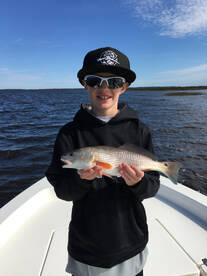 Jacksonville Report Photo 2