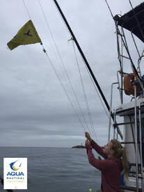 Durban Report Photo 2