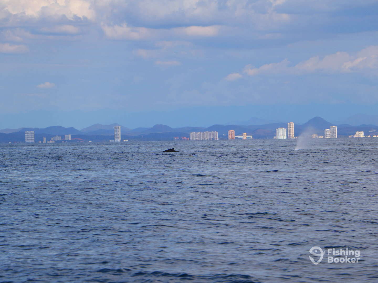 Mazatlán Report Photo 0