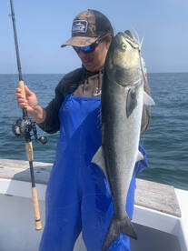 Narragansett Report Photo 1