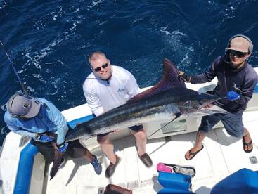 Cabo San Lucas Report Photo 1