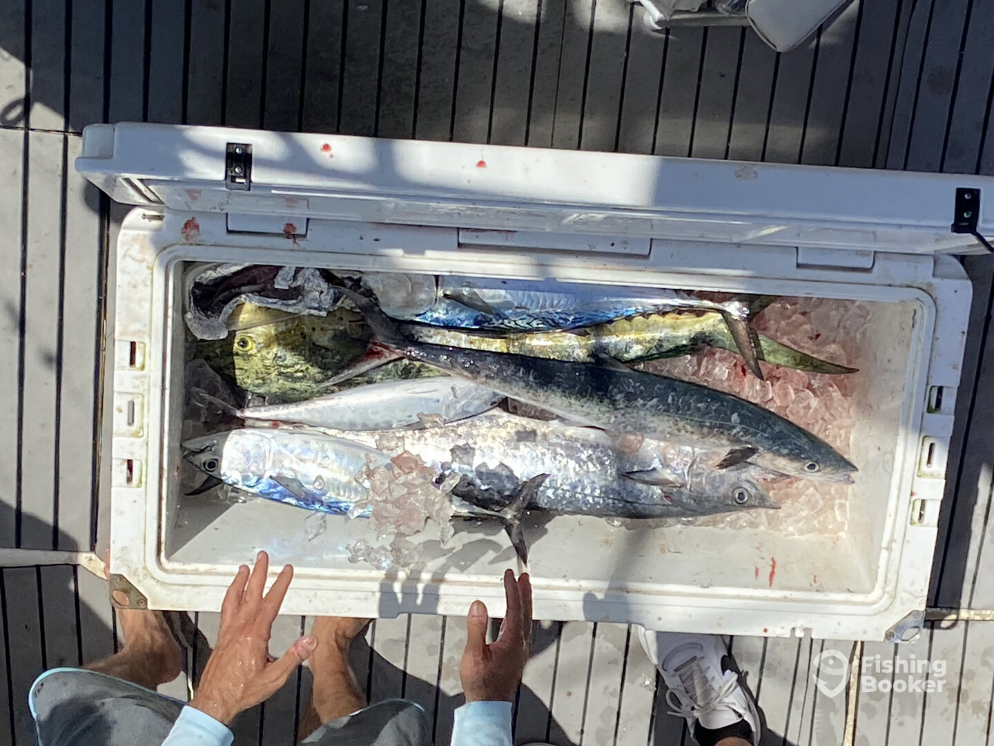 Pompano Beach Report Photo 0