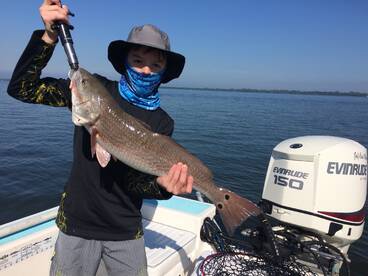 Palmetto Report Photo 2