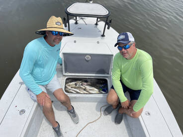 TROUT is on fire right now 