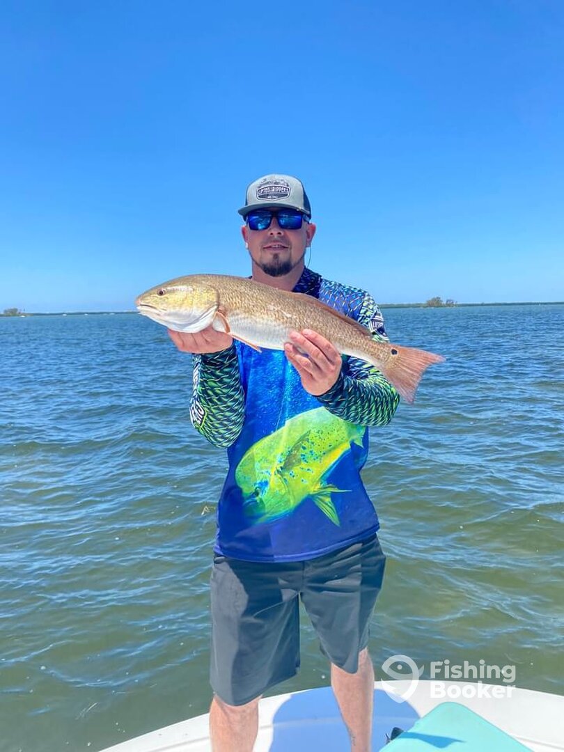 Dunedin Report Photo 0