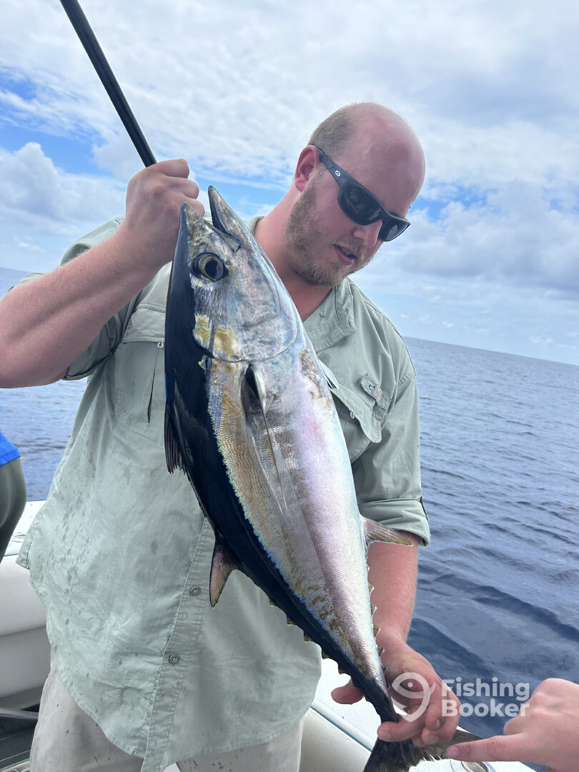 Mount Pleasant Report Photo 0