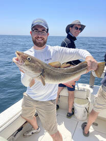 Gloucester Report Photo 2