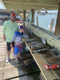 Galveston Report Photo 2