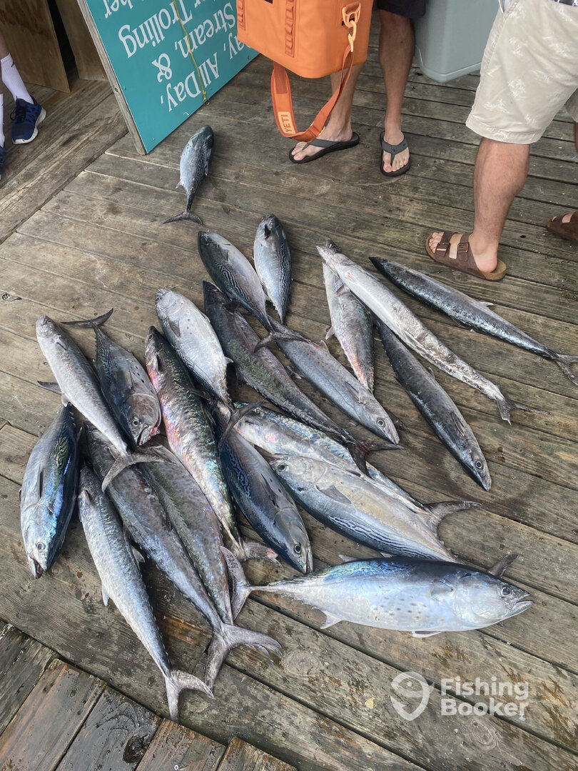 Little River Report Photo 0