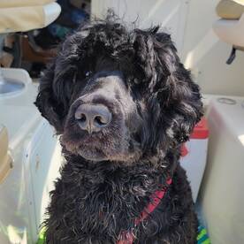 Lakeside Marblehead Report Photo 1