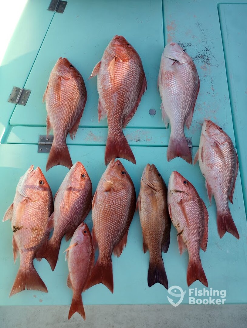 Destin Report Photo 0