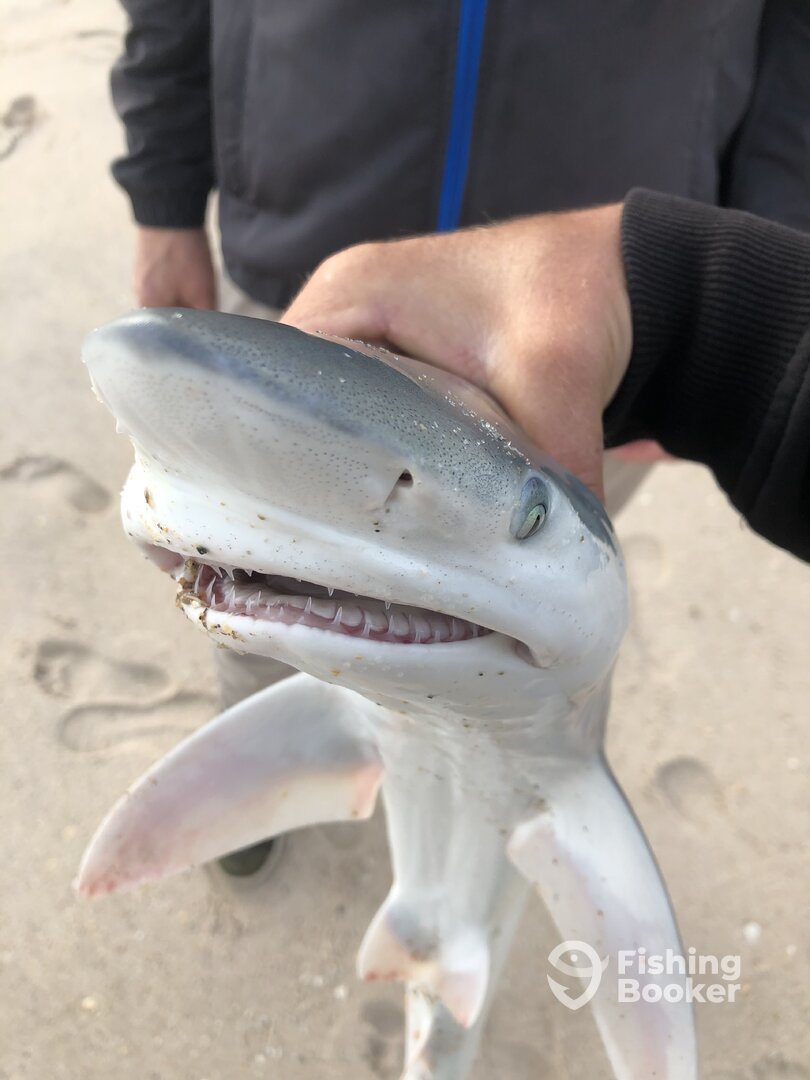 Cocoa Beach Report Photo 0