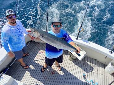 33” Kingfish
