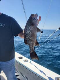 Seabrook Island Report Photo 2