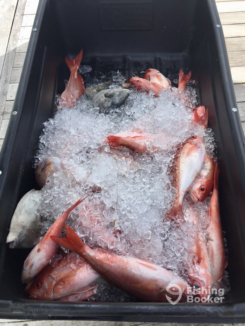 Seabrook Island Report Photo 0