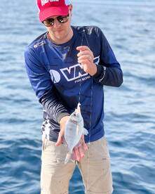 Vrsar Report Photo 3