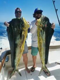 Mahi season is here! _ December 2022