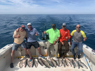 Awsome fishing