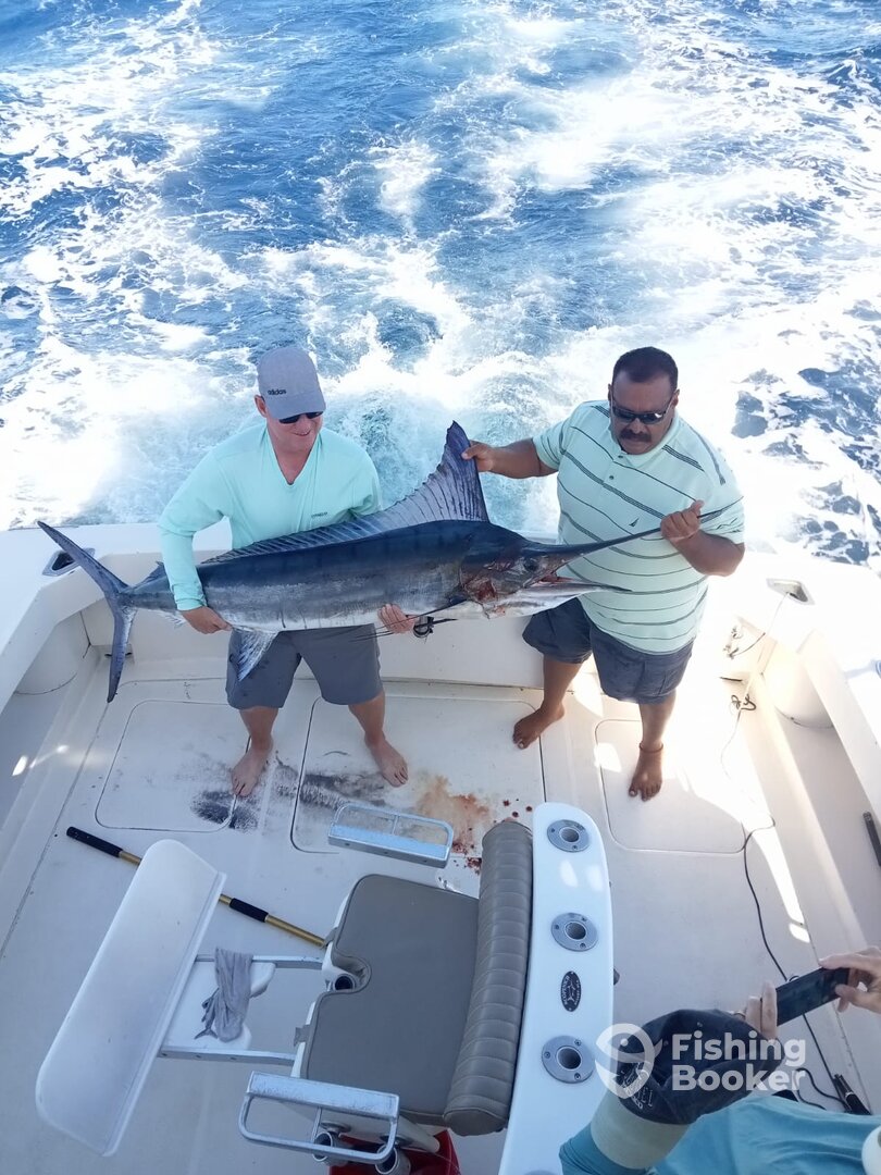 Cabo San Lucas Report Photo 0