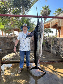 San Jose del Cabo Report Photo 1