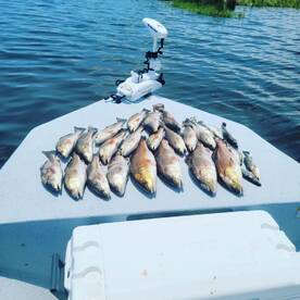 Redfish are hungry