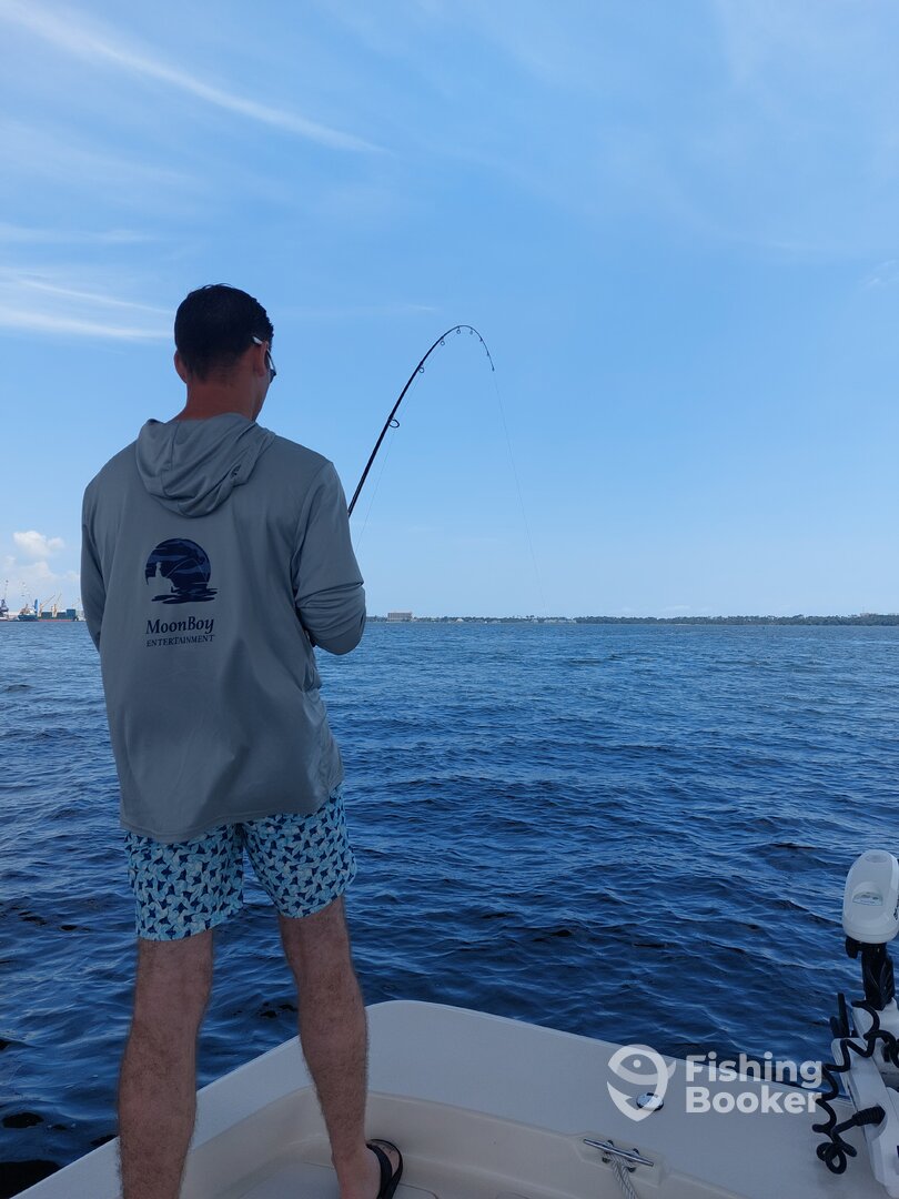 Panama City Report Photo 0