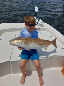 Panama City Report Photo 1