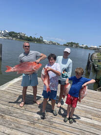 Season Open **Snapper**