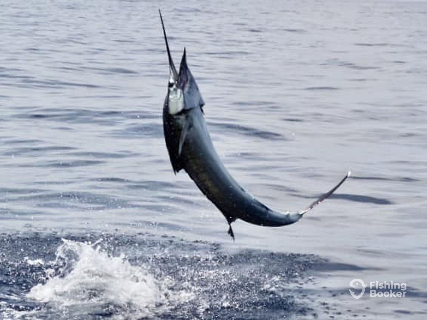 Quepos Report Photo 0