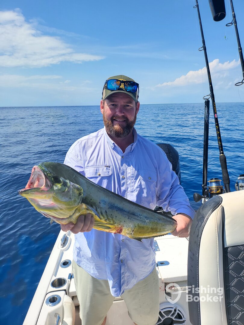 Tavernier Report Photo 0