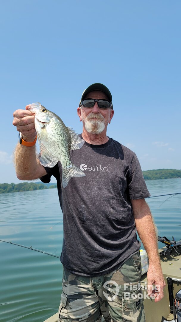 Harrison Report Photo 0