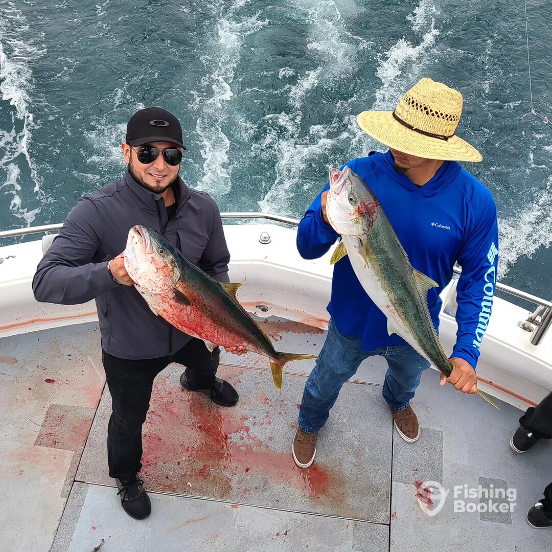 Ensenada Report Photo 0