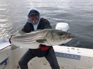 Newport Report Photo 1