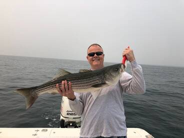 Newport Report Photo 2