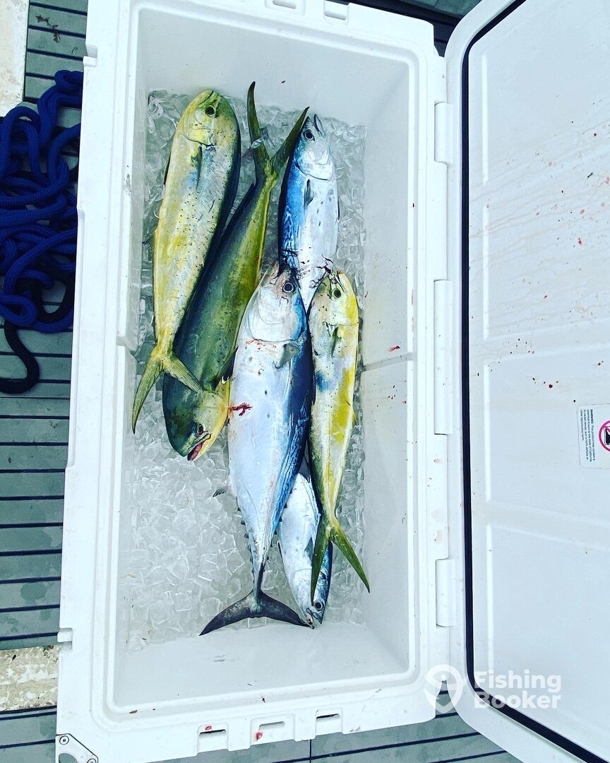 Pompano Beach Report Photo 0