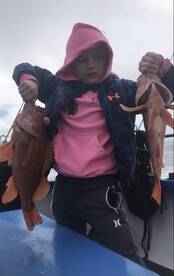 Rock fishing in deep water has been grea