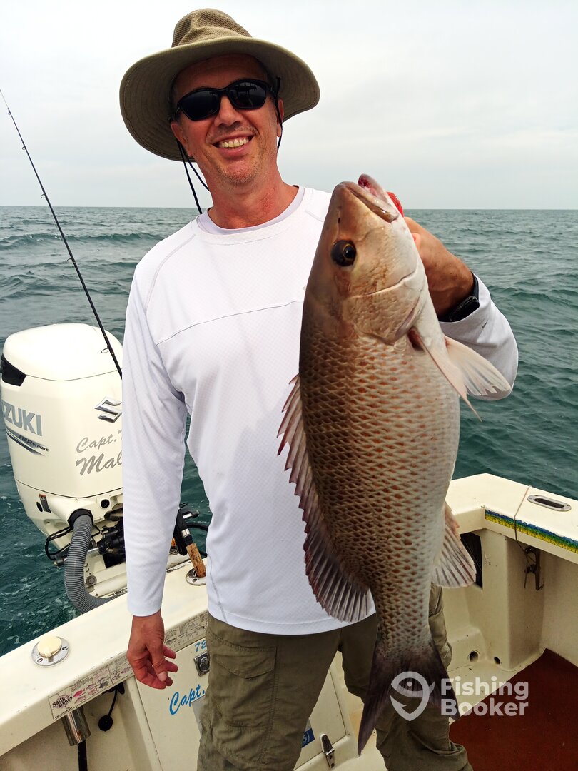 St. Petersburg Report Photo 0