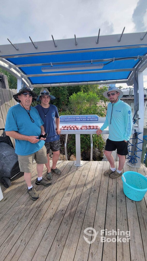 Shalimar Report Photo 0