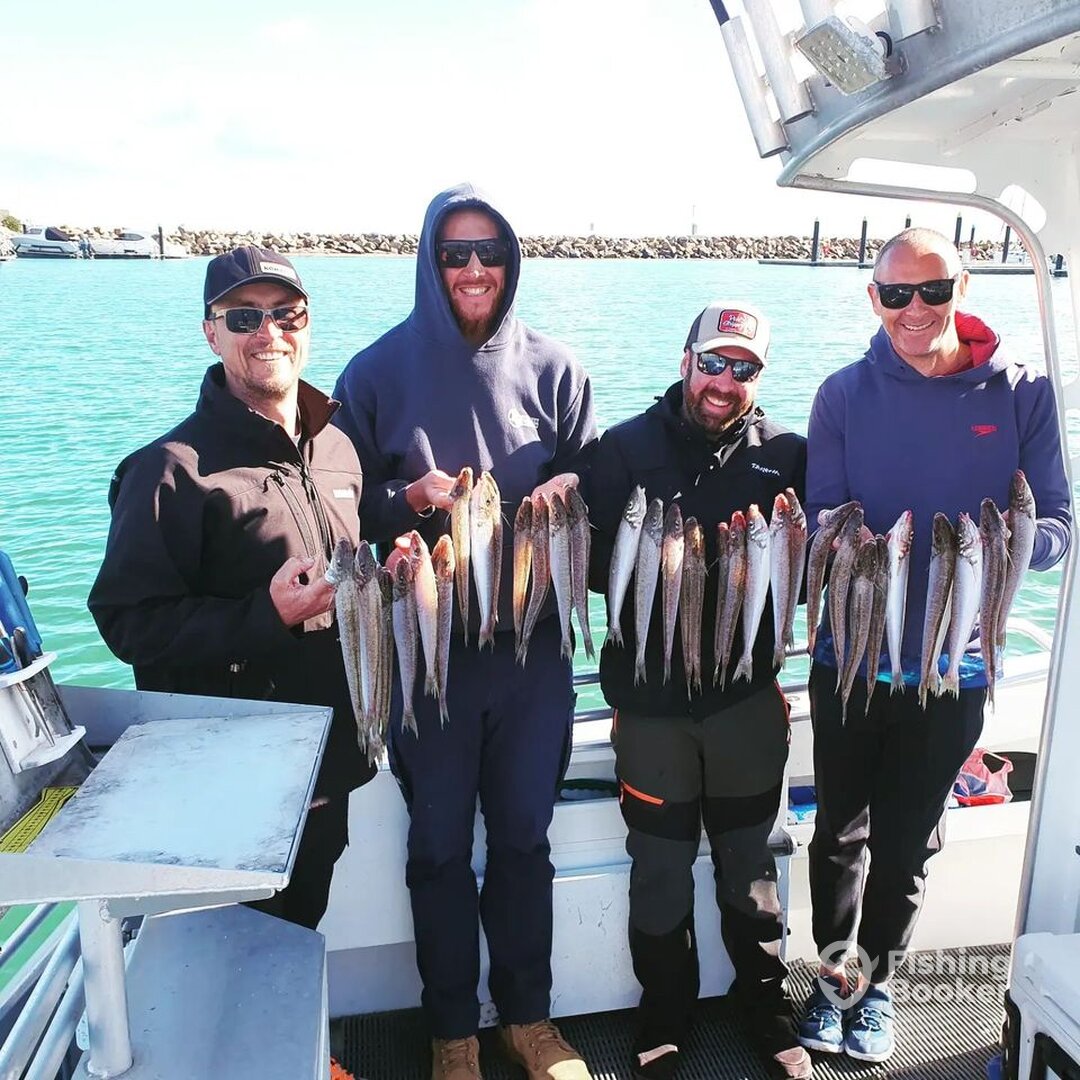 South Australia Report Photo 0