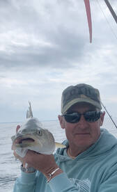 Dennis Report Photo 1