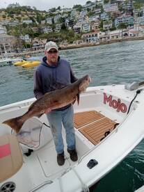 The Grey Ghost is in town!