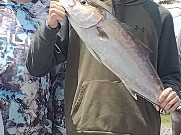 Wanchese Report Photo 1