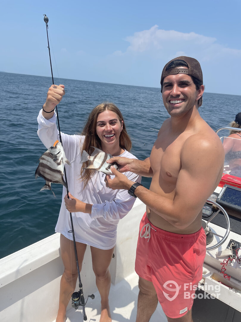 Dauphin Island Report Photo 0