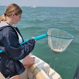 Lake Erie Walleye Charter BlackH2oDog
