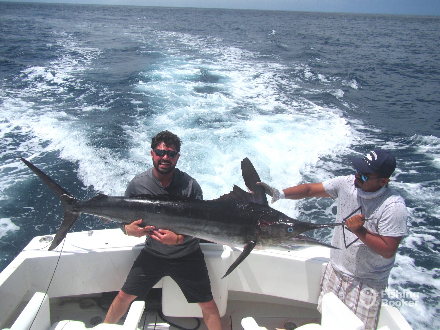 Cabo San Lucas Report Photo 0