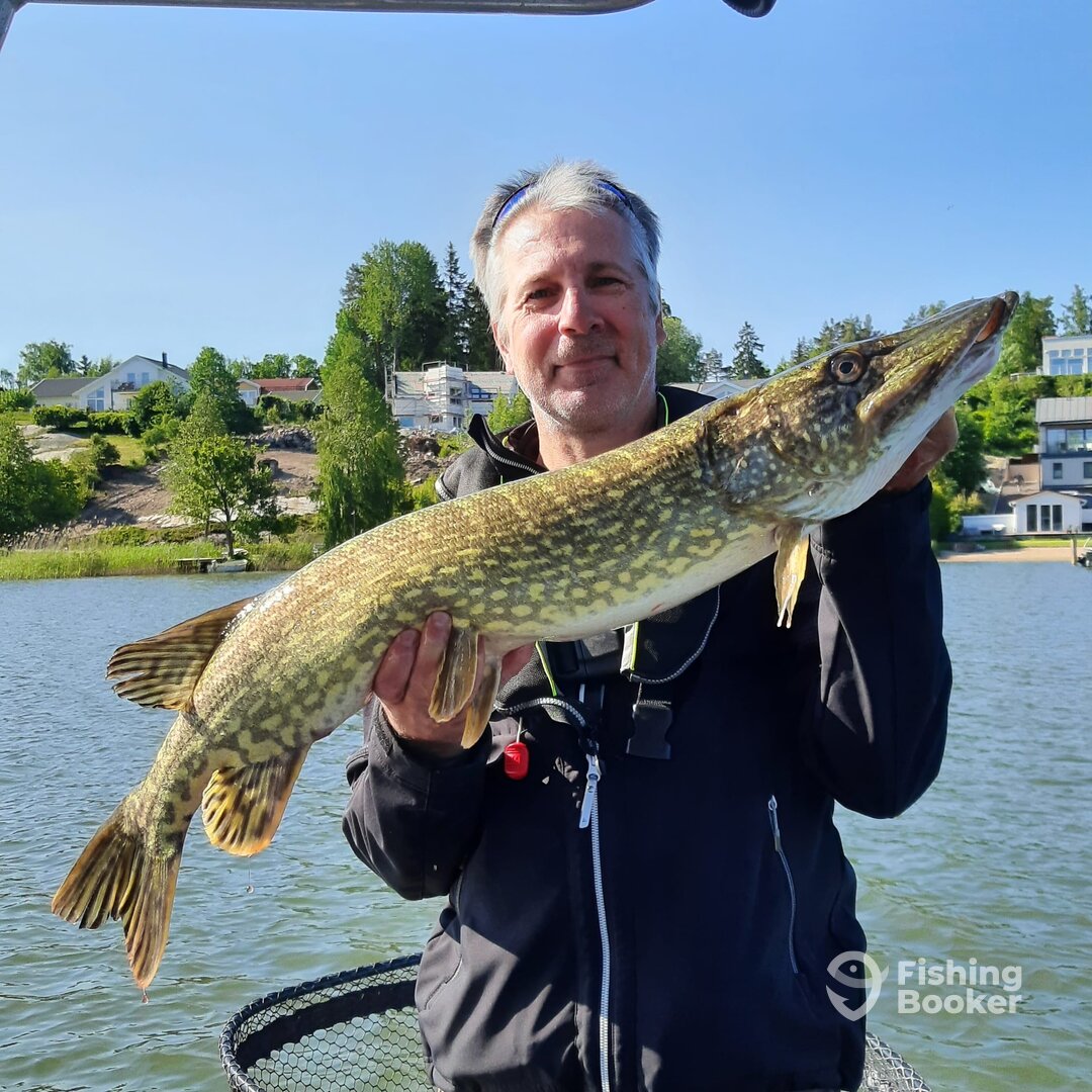 Stockholm Report Photo 0